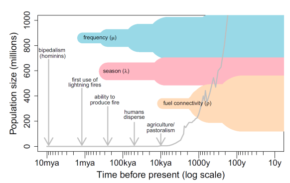 <p>What do the thin portions and thick portions of this graph represent?</p>