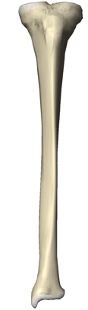 <p>right or left</p>