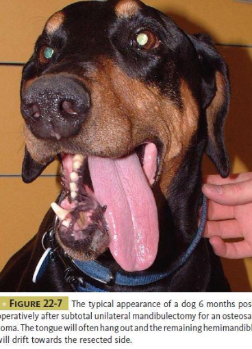 <p>MST 9-11 months</p><p>22% recurrence </p>