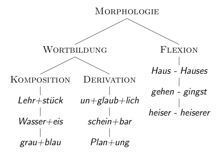 <p><span>Teilgebiete der Morphologie</span></p>