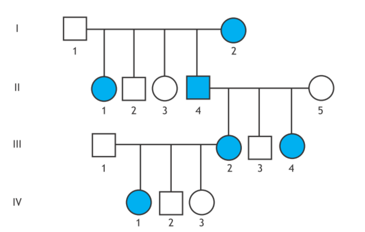 <p>Xác định kiểu di truyền trong cây phả hệ sau:</p>