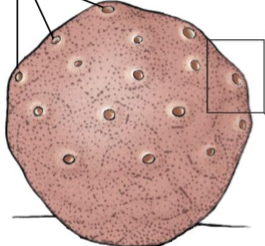 <p>What is this?</p>