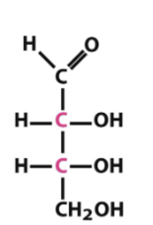 <p>what is the name of this structure? </p>