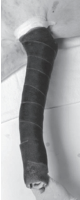 <p><span>Name and primary indication(s):</span></p>