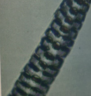 <p></p>
