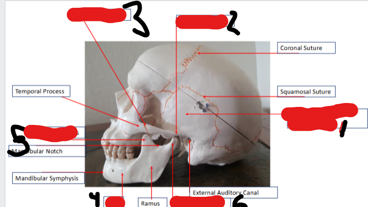 <p>3</p>