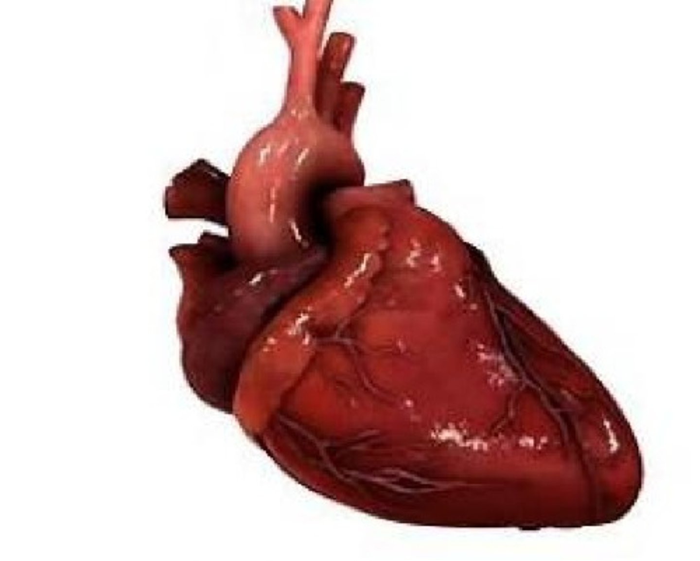 <p>серце</p>