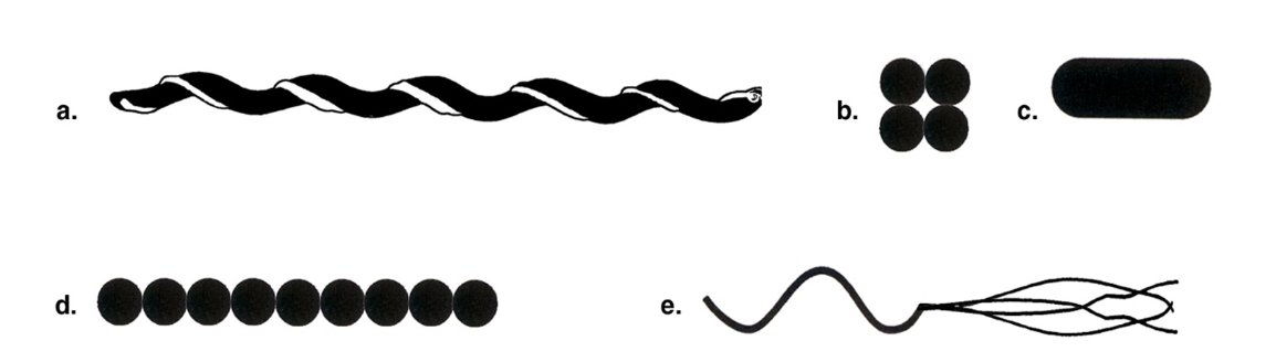 <p><span>Which drawing in Figure 4.1 is a tetrad?</span></p>