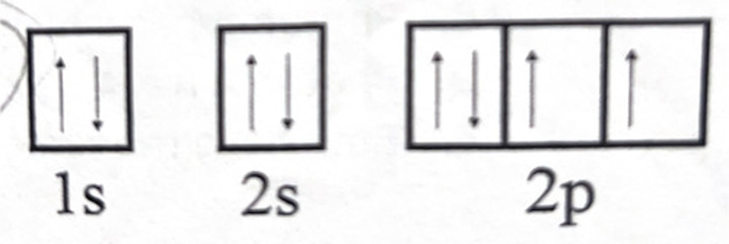 knowt flashcard image