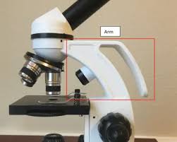 <p>The part of a microscope that connects the eyepiece to the base and provides support, allowing for easy handling and positioning of the microscope. </p>