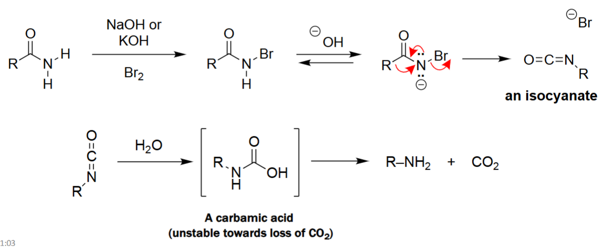 <ul><li><p>A primary amide reacts with Br₂ and base to form an N-bromoamide intermediate.</p></li><li><p>Rearrangement occurs (migration of R- group) to generate an isocyanate.</p></li><li><p>The isocyanate is hydrolyzed to a carbamic acid, which is unstable.</p></li><li><p>Carbamic acid spontaneously loses CO₂, yielding a primary amine with one fewer carbon.</p></li></ul><p></p>