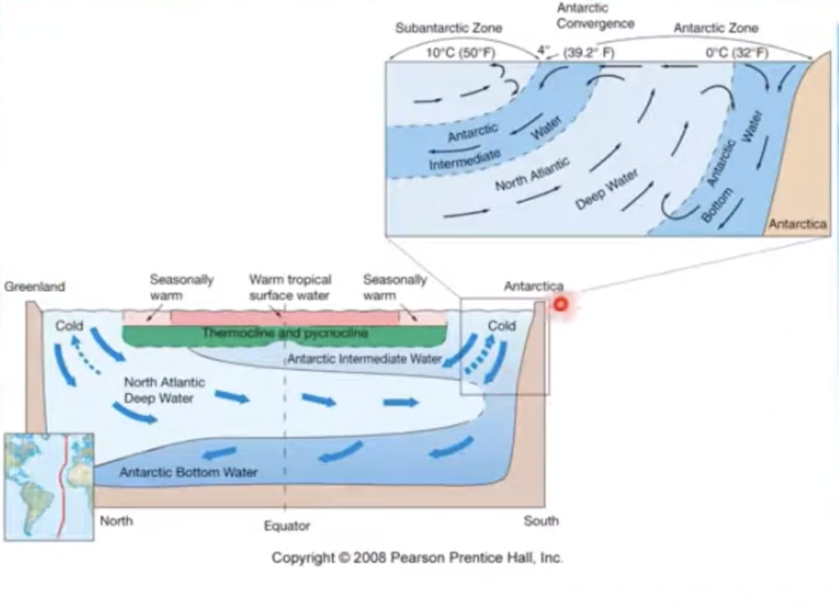 <p>also known as Deep Water Circulation</p>