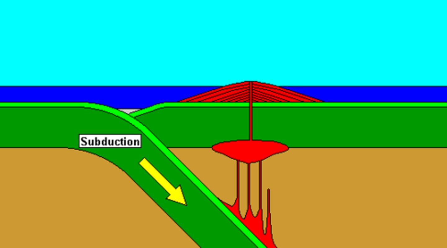 <p>The process by which oceanic crust sinks beneath a deep-ocean trench and back into the mantle at a convergent plate boundary.</p>