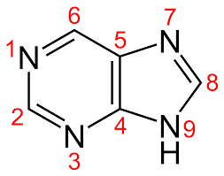 pyrimidine and imidazole