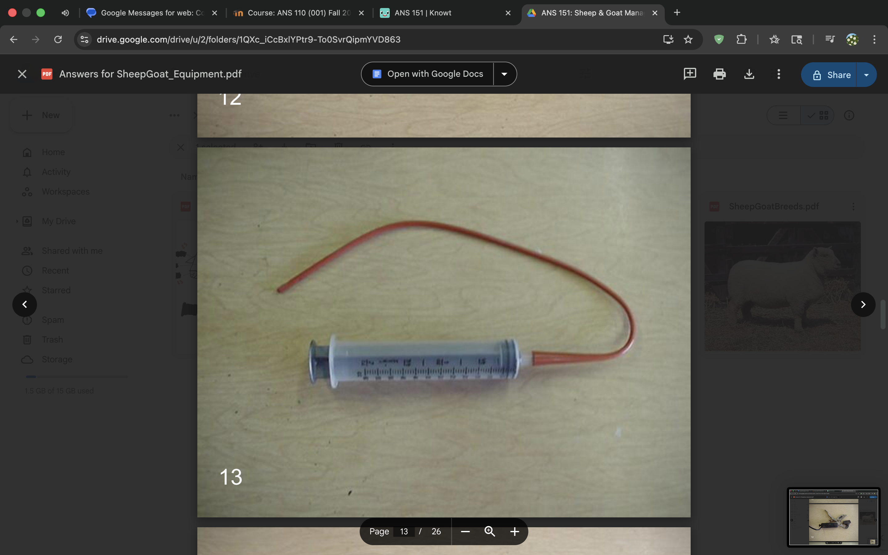 <p>Esophageal tube</p>