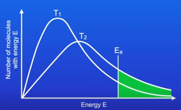 <ul><li><p>When you increase the temperature the curve shifts right</p></li><li><p>At higher temperatures, there are molecules with high energies</p></li><li><p>The most probable energy (Emp) increases. But the number of particles with the most probable energy falls </p></li><li><p>Area under the curve will not change</p></li><li><p>The number of molecules with the activation energy has increased </p></li></ul><p></p>