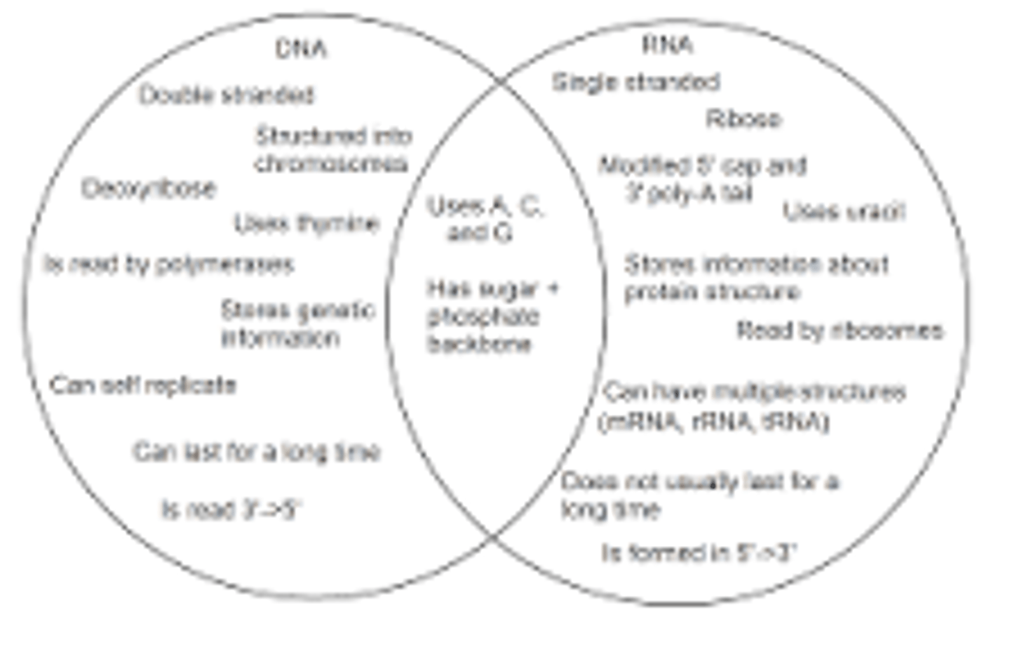 <p>RNA is single-stranded while DNA is double-stranded. RNA contains uracil while DNA contains thymine. RNA has the sugar ribose while DNA has the sugar deoxyribose.</p>