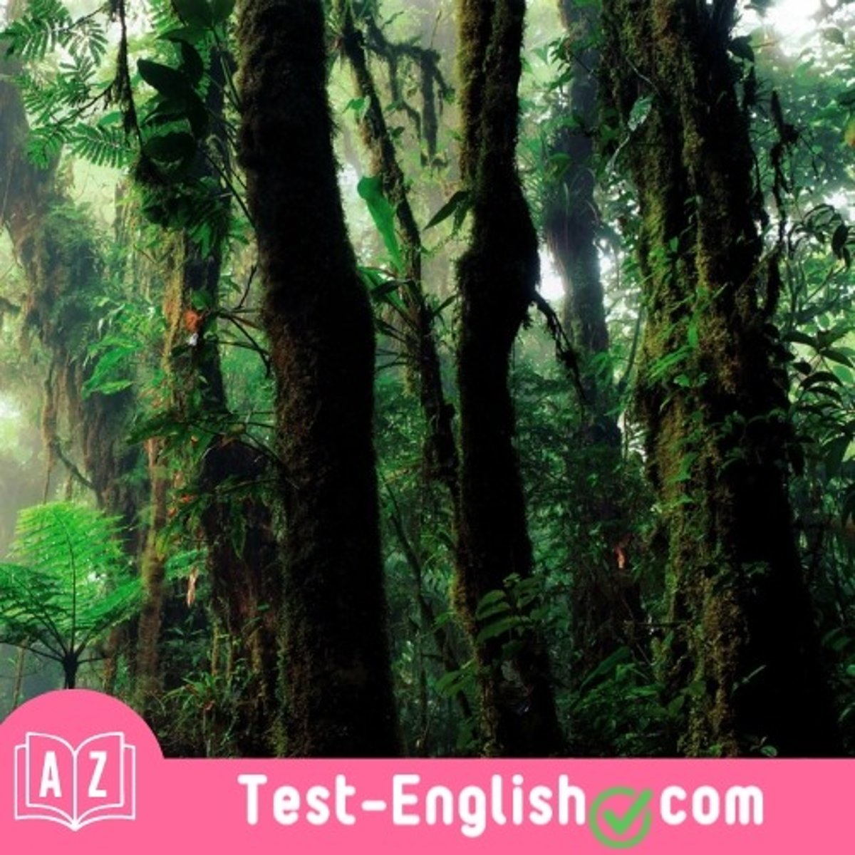 <p>The _____ climate made the air feel heavy and sticky.</p>