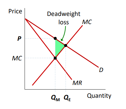 <ul><li><p>Deadweight loss exists because P &gt; MC</p></li></ul>