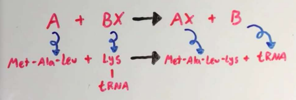 <p>transfer groups to other m molecules</p>