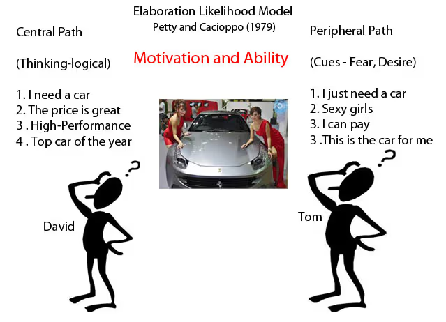 <p>explains how people are persuaded through either deep thinking <em>(central route)</em> or superficial cues <em>(peripheral route)</em></p>