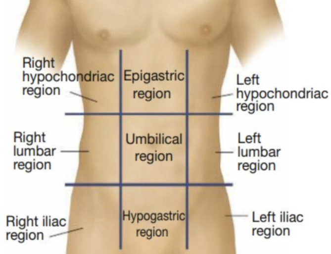 <p>memorize the regions and its names</p>