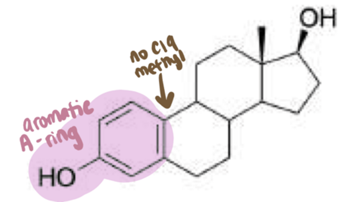 <p>What prototype endogenous agonist is this?</p>