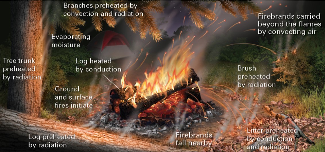 <ul><li><p>start most often when a small heat source (spark from campfire, cigarette) comes into contact with dry grasses, leaves, small sticks</p></li><li><p>heat from this small fire pre-heats surrounding fuel</p></li></ul>