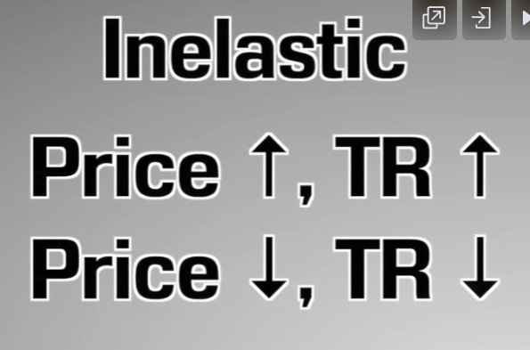 <p>PRICE INELASTICITY AND TOTAL REVENUE</p>
