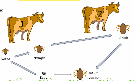 <p>What does this image show?</p>