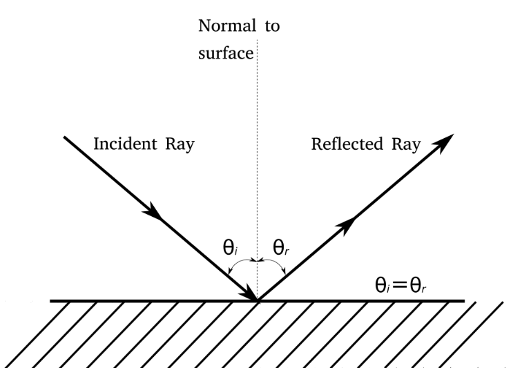 <p><span>the dashed line is called the normal, and is drawn at 90° to the surface of the mirror. All angles are measured from the normal.</span></p>