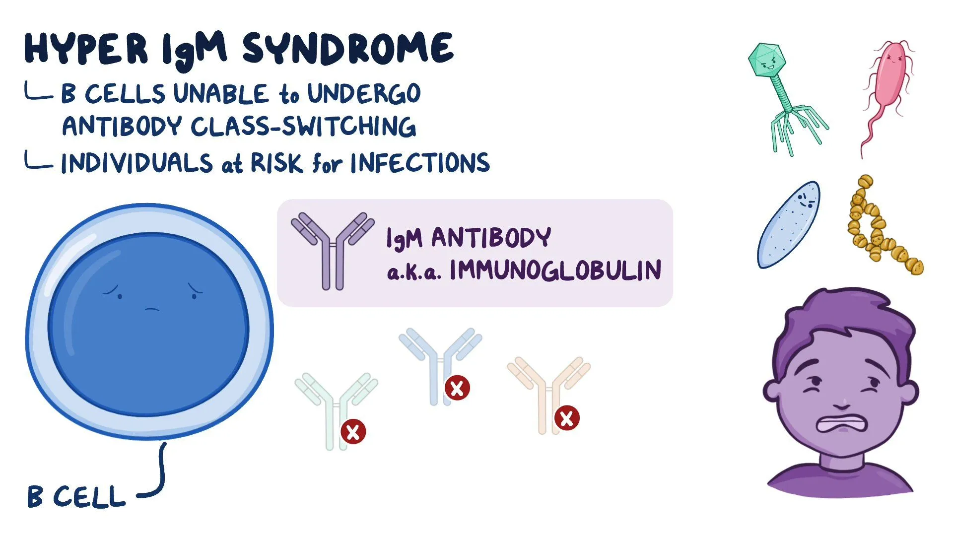 <p> X-linked immunodeficiency with hyper-IgM </p><p></p><p></p>