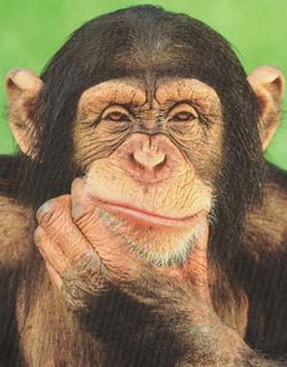 <p>to think that something is probably true</p>
