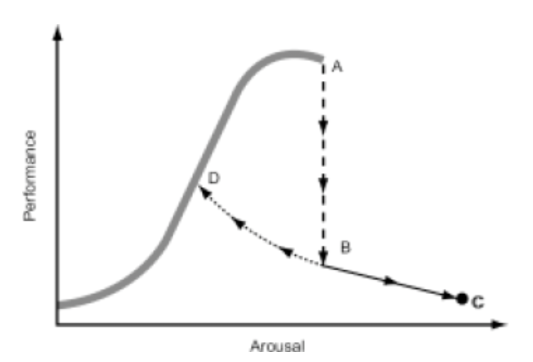 <p>Catastrophe theory </p>