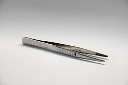 <p>Forceps</p>