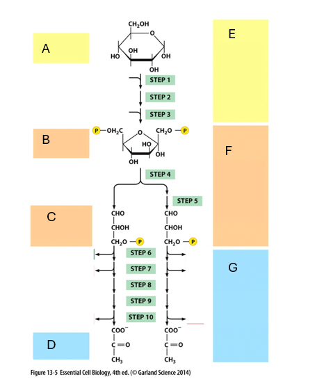 <p>What is B?</p>