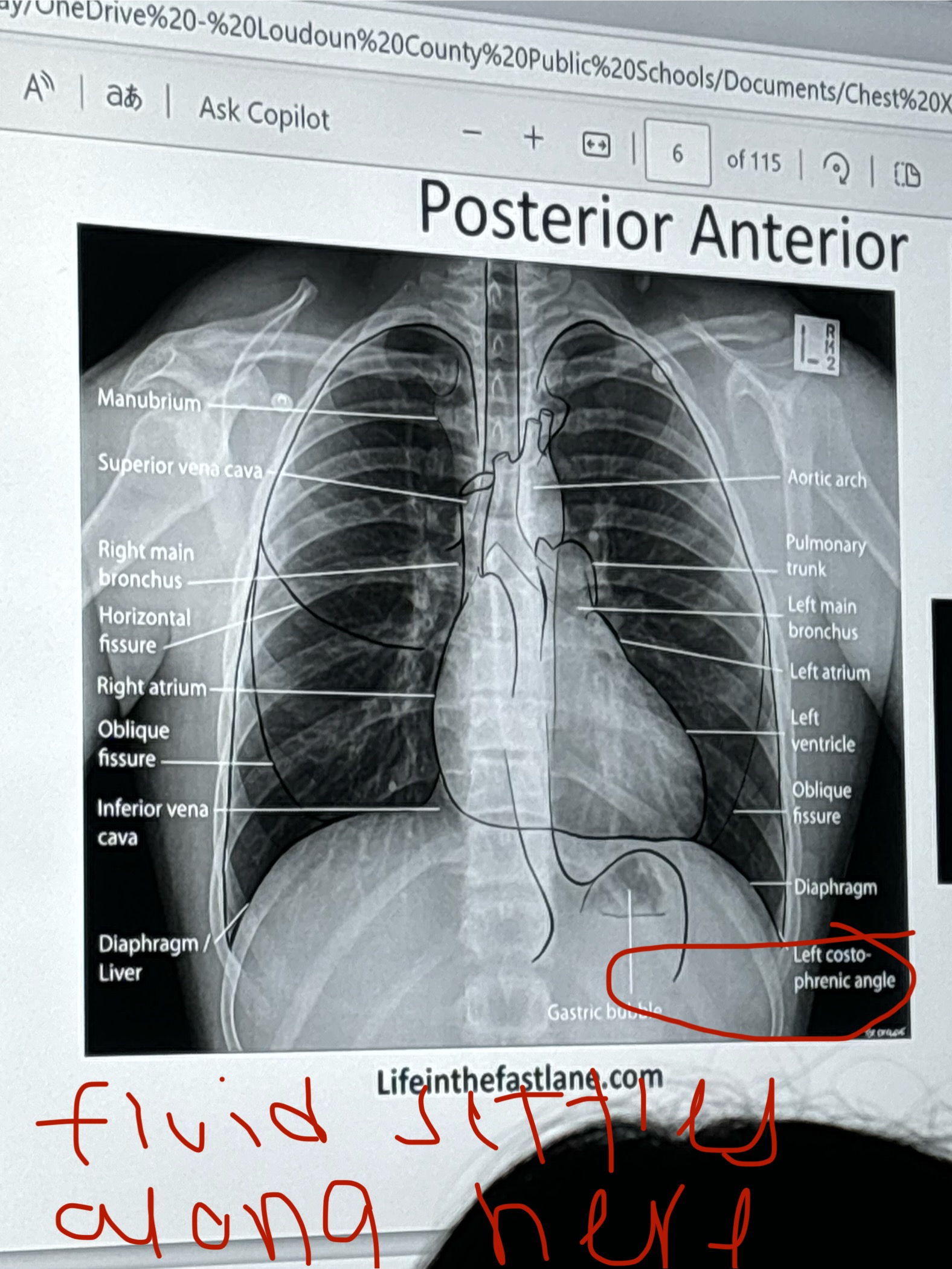 knowt flashcard image