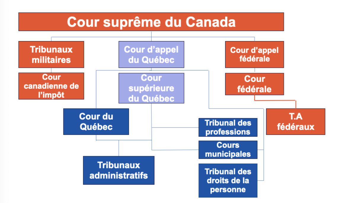 <p>Composition de la Cours d’appel du QC. </p>