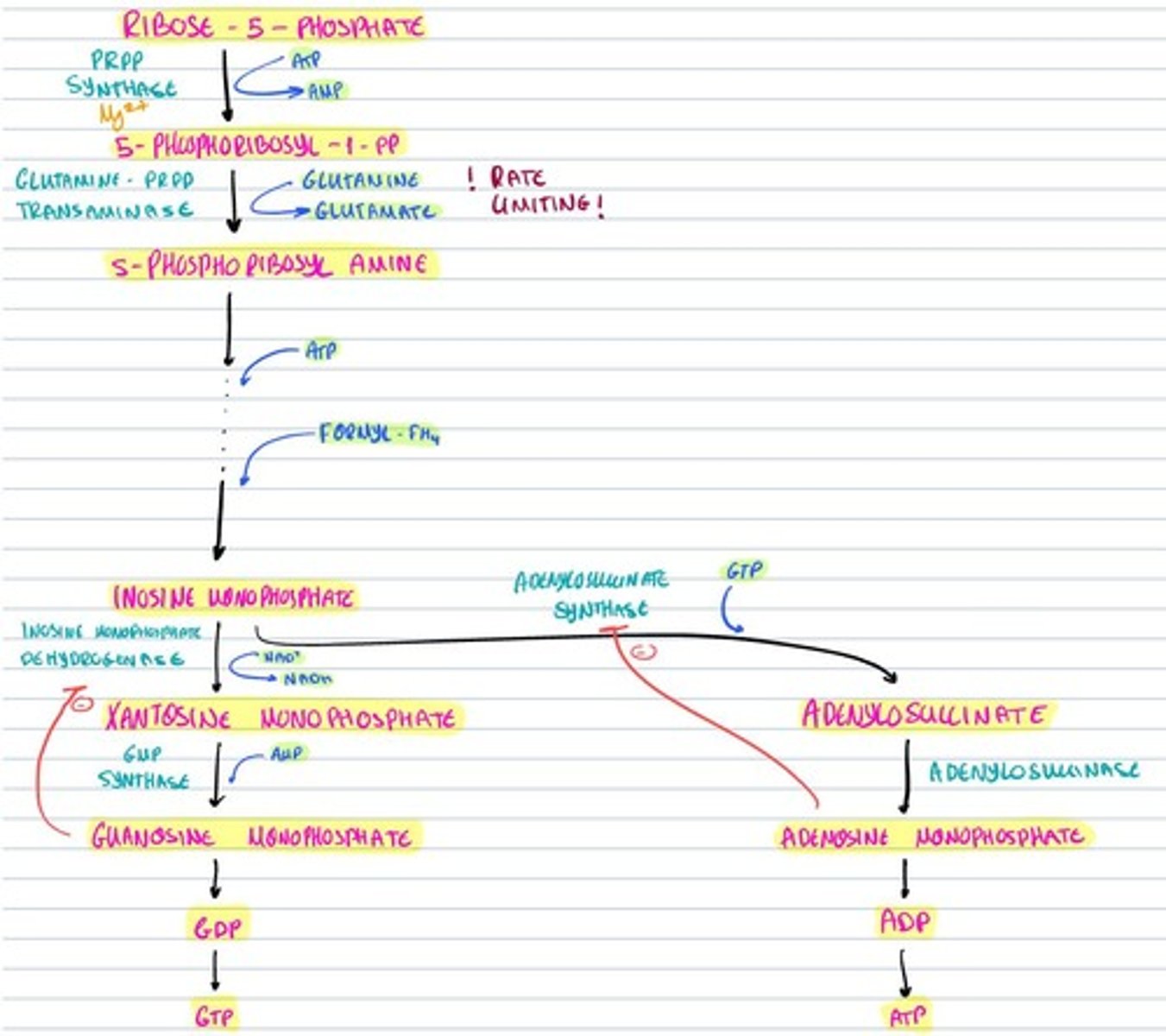 knowt flashcard image