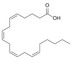 <p>20:4 delta 5,8,11,14</p><p>cis</p><p>unsaturated fatty acid</p>