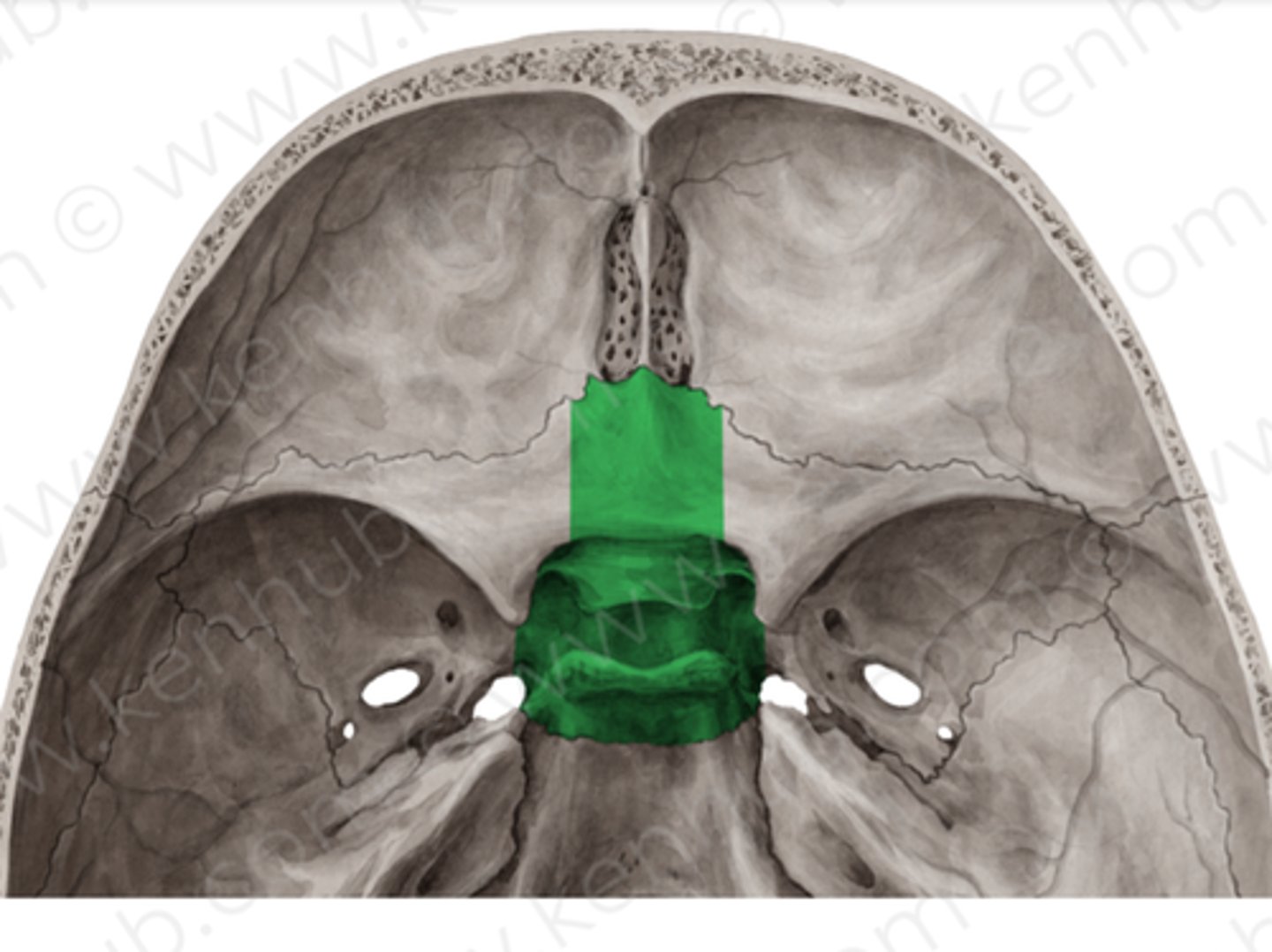 knowt flashcard image