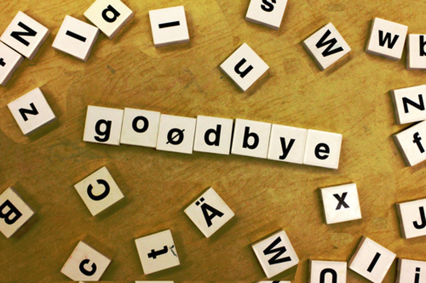 <p>Goodbye</p>