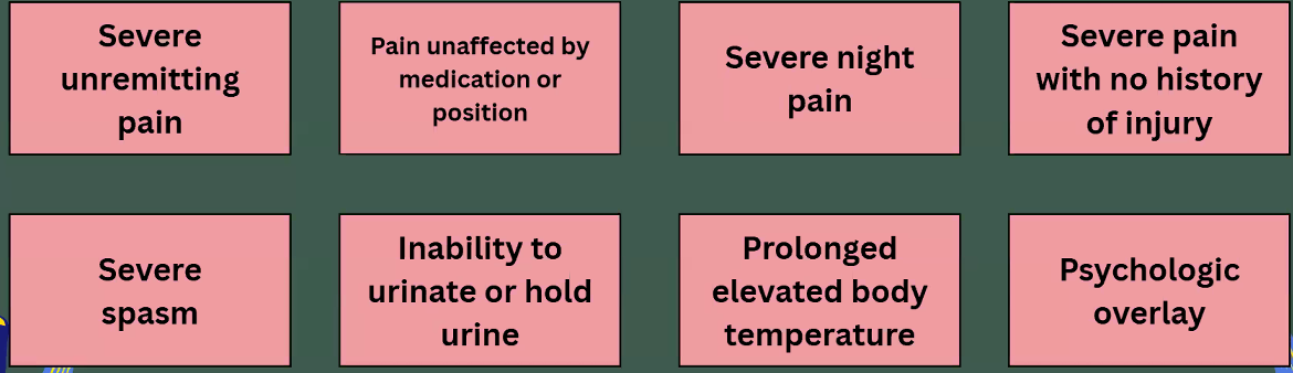 <p>Pain, history, spasm, urine, temp, psychologic</p>
