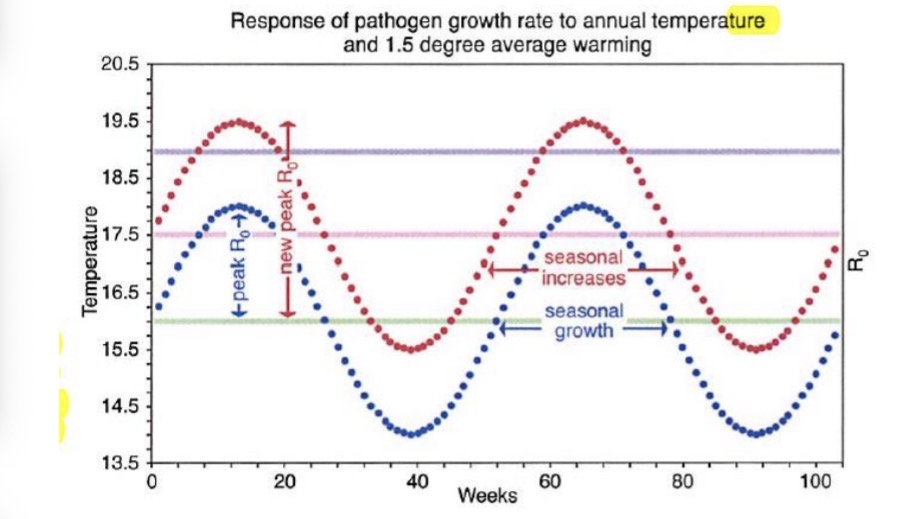 <ul><li><p>Metabolic processes are faster, the parasite grows up faster, and now it only takes a week for a generation instead of 2 weeks</p></li><li><p>Even if summer is the same length, higher temperatures can increase the number of generations produced within that period.</p></li><li><p>Earlier spring, later falls, longer transmission season</p></li></ul><p></p>