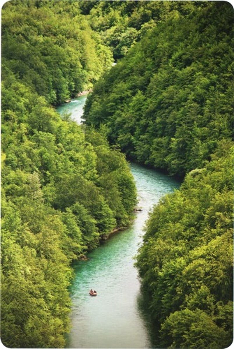 <p>река</p>