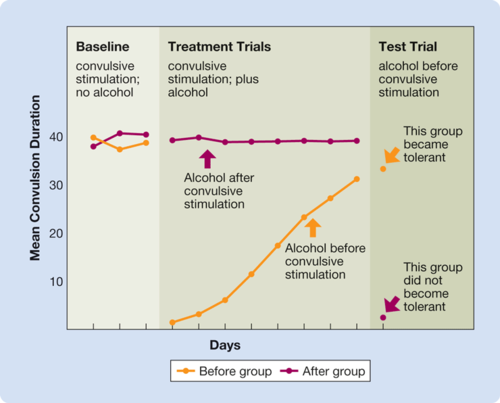 <p>tolerantie welke wordt opgebouwd tegen ervaren effecten van drugs<br><strong>bijv. </strong>anti-epileptische werking van alcohol</p><p></p>