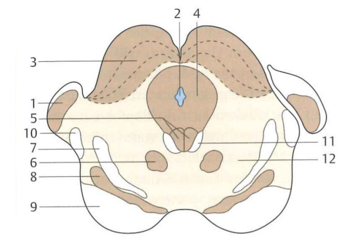 <p>3</p>