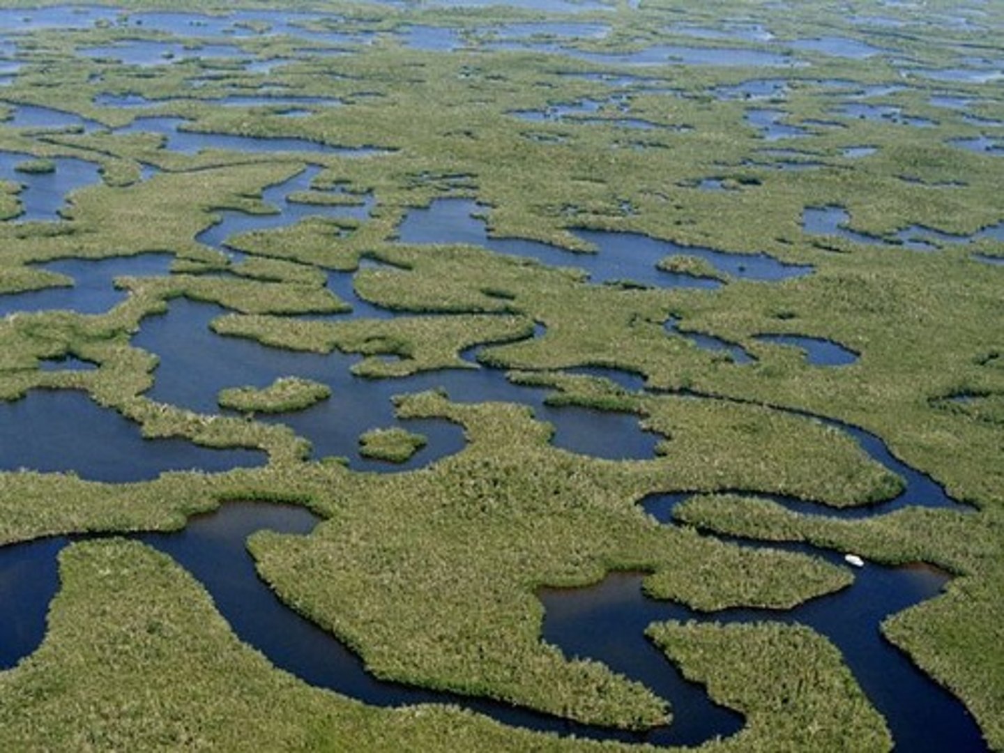 <p>Florida</p>