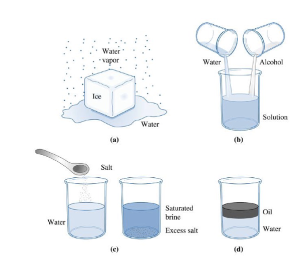 <p>A region of a material that is structurally homogeneous (same crystal structure) and distinct (interface with surroundings) </p><p>Three forms of water (solid, liquid gas) are each one; water and alcohol have unlimited solubility (one); salt + water have limited solubility (excess salt means 2); oil and water have virtually no solubility (2)</p>
