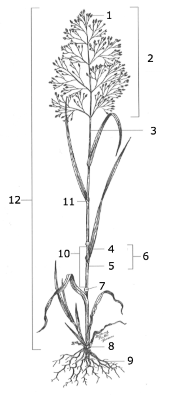 <p>what is 1?</p>